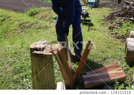 Chopping firewood 114311318