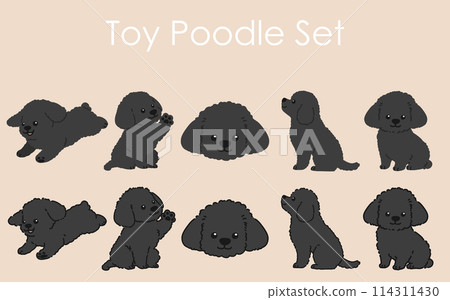 簡單可愛的黑色玩具貴賓犬插圖集,有或沒有主線 簡單可愛的黑色玩具貴賓犬插圖集,有或沒有主線 114311430