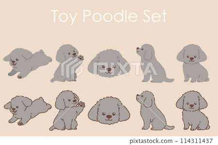 A simple and cute illustration set of a gray toy poodle with and without main lines A simple and cute illustration set of a gray toy poodle with and without main lines 114311437