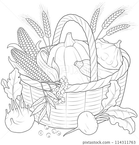 Autumn Harvest Basket black and white vector illustration Autumn Harvest Basket black and white vector illustration 114311763