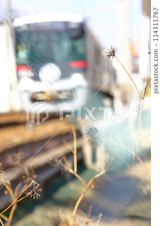 Scenery along the railway line - Blurred photos 114311767