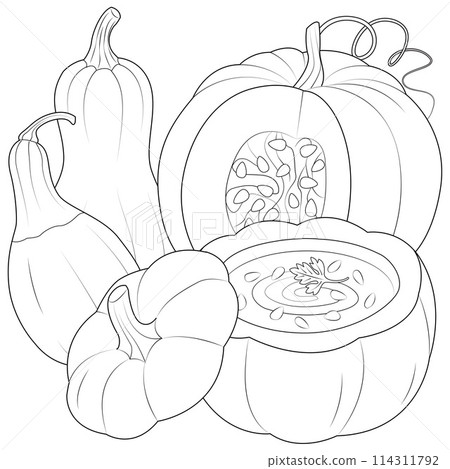 Pumpkin soup and pumpkins, smoothie and squash isolated on white background. Pumpkin soup and pumpkins, smoothie and squash isolated on white background. 114311792