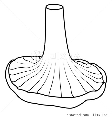 saffron milk caps mushroom. Black and white isolated. Vintage.  114311840