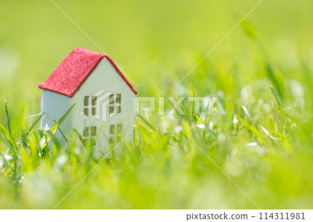 A small house with green grass and a red roof 114311981