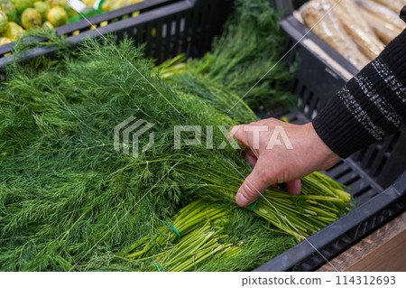 green fresh dill in a woman's hand in a store green fresh dill in a woman's hand in a store 114312693