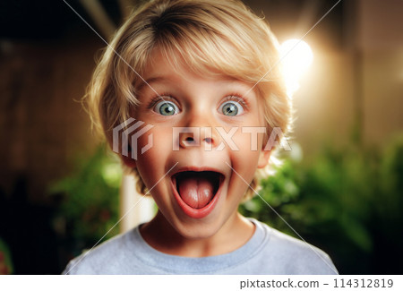 Surprised Young Boy with Wide Eyes and Open Mouth 114312819