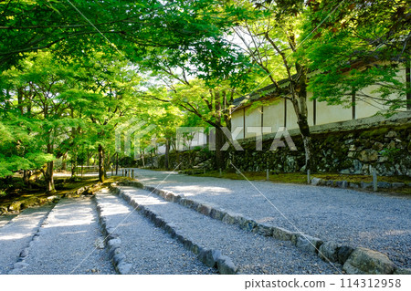 二尊院秋葉馬場綠意盎然 114312958