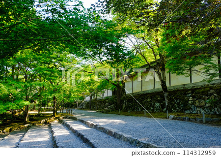 二尊院秋葉馬場綠意盎然 114312959