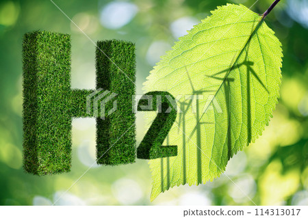 Getting green hydrogen from renewable energy sources. 114313017