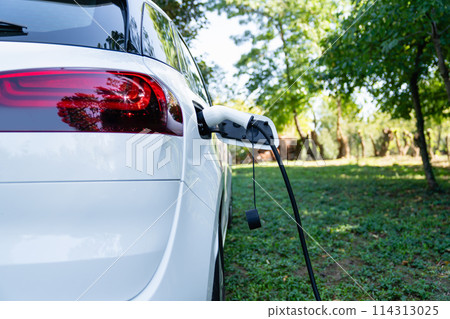 Close up of electric car inlet with a connected charging cable on a green background.. Close up of electric car inlet with a connected charging cable on a green background.. 114313025