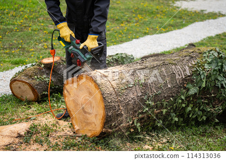 A man in uniform cuts an old tree in the yard with an electric saw. A man in uniform cuts an old tree in the yard with an electric saw. 114313036