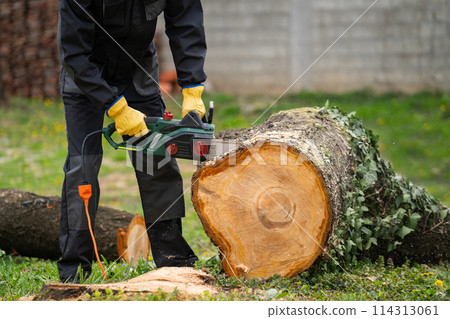 A man in uniform cuts an old tree in the yard with an electric saw. 114313061