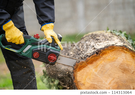 A man in uniform cuts an old tree in the yard with an electric saw. 114313064