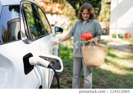 Woman with shopping bag next to a charging electric car. 114313065