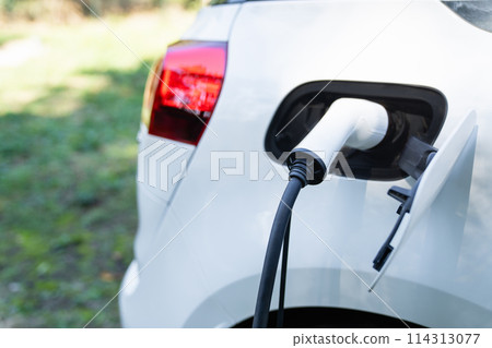 Close up of electric car inlet with a connected charging cable on a green background.. Close up of electric car inlet with a connected charging cable on a green background.. 114313077