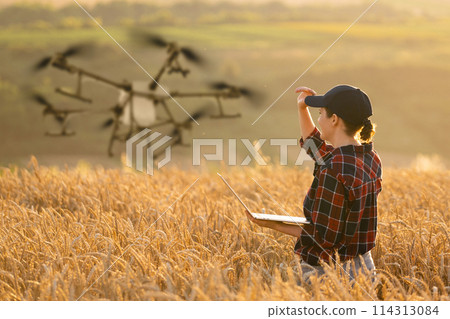 Woman farmer controls drone sprayer with a tablet. Smart farming and precision agriculture.. Woman farmer controls drone sprayer with a tablet. Smart farming and precision agriculture.. 114313084