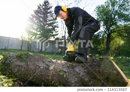 A man in uniform cuts an old tree in the yard with an electric saw. 114313087
