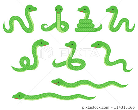 蛇插圖集 114313166