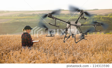 Woman farmer controls drone sprayer with a tablet. Smart farming and precision agriculture.. Woman farmer controls drone sprayer with a tablet. Smart farming and precision agriculture.. 114313590