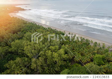 People walk on tropical sand beach 114313633