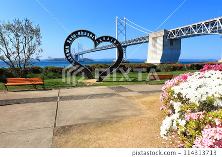 [Kagawa Prefecture] The Setouchi Ohashi Bridge in spring as seen from the Setouchi Ohashi Memorial Park where azaleas bloom 114313713