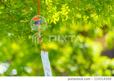 Glass wind chimes with goldfish designs swaying beneath green maples 114314309