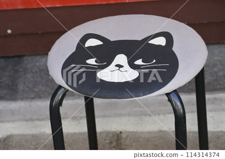 圓椅子上的貓咪圖片 圓椅子上的貓咪圖片 114314374