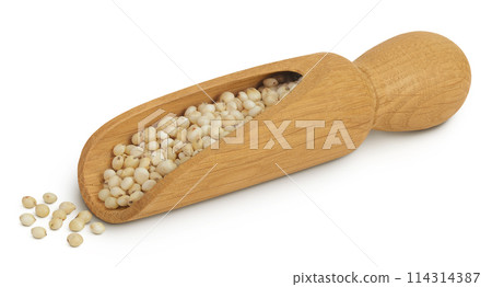 Sorghum seeds in wooden scoop isolated on white background with full depth of field. Sorghum seeds in wooden scoop isolated on white background with full depth of field. 114314387