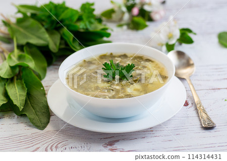 cooked green borscht from sorrel in a plate cooked green borscht from sorrel in a plate 114314431