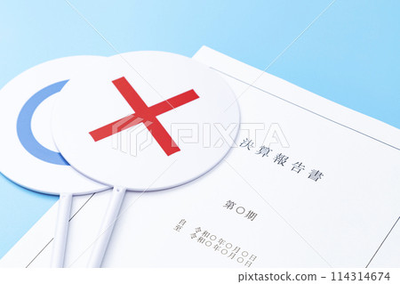 財務報告和Marubatsu法案 財務報告和Marubatsu法案 114314674