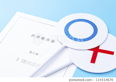 財務報告和Marubatsu法案 財務報告和Marubatsu法案 114314676