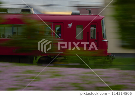 Electric train Electric train 114314806