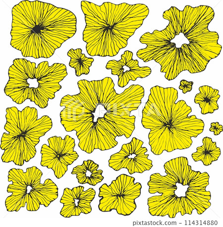 Seamless floral pattern with hand drawn flower garden elements on an isolated white background Seamless floral pattern with hand drawn flower garden elements on an isolated white background 114314880