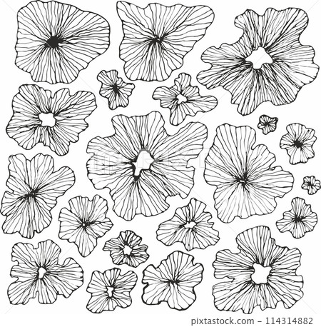 Seamless floral pattern with hand drawn flower garden elements on an isolated white background Seamless floral pattern with hand drawn flower garden elements on an isolated white background 114314882