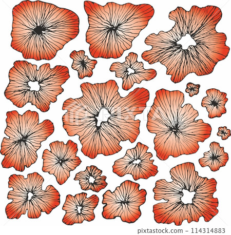 Seamless floral pattern with hand drawn flower garden elements on an isolated white background 114314883