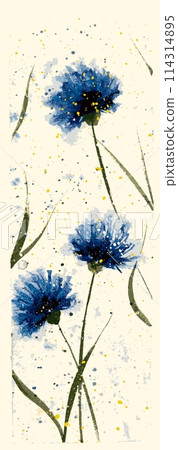 blue cornflowers by watercolor Elements. knapweed watercolor, drawing 114314895