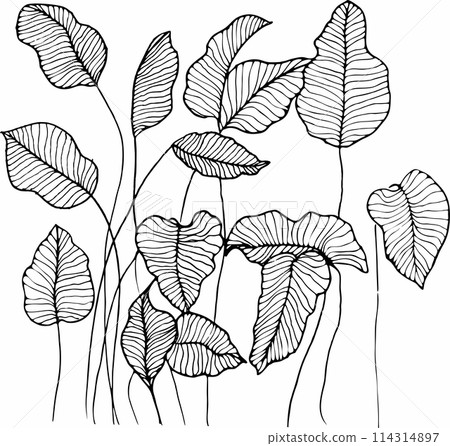 Vector branches and leaves. Hand drawn floral elements. Vintage botanical illustrations Vector branches and leaves. Hand drawn floral elements. Vintage botanical illustrations 114314897