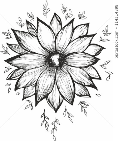 Abstract flower in continuous line art drawing style. Black linear sketch isolated on white background. Vector illustration Abstract flower in continuous line art drawing style. Black linear sketch isolated on white background. Vector illustration 114314899