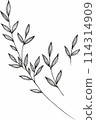 Vector branches and leaves. Hand drawn floral elements. Vintage botanical illustrations 114314909
