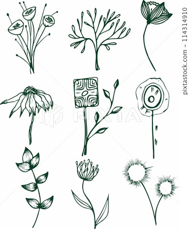 Vector collection of hand drawn plants. Botanical set of sketch flowers and branches 114314910