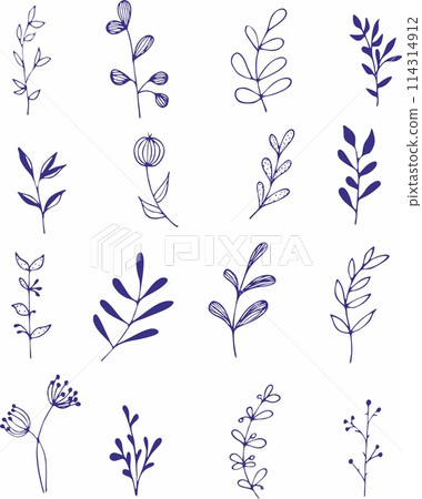 Vector collection of hand drawn plants. Botanical set of sketch flowers and branches Vector collection of hand drawn plants. Botanical set of sketch flowers and branches 114314912