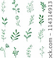 Vector collection of hand drawn plants. Botanical set of sketch flowers and branches 114314913