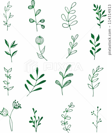 Vector collection of hand drawn plants. Botanical set of sketch flowers and branches Vector collection of hand drawn plants. Botanical set of sketch flowers and branches 114314913