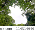 The sky which can be seen from among the trees 114314949