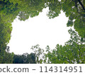 The sky which can be seen from among the trees 114314951