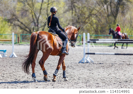 Young girl riding bay horse on equestrian dressage training 114314991