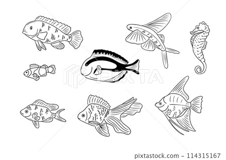 Contour doodle set with fish. Collection of sketchy contour drawings isolated on white background. Monochrome black outline stickers 114315167