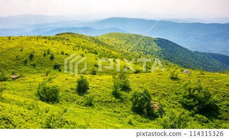grassy alpine hillside of carpathian mountains in evening light. landscape of ukrainian highlands in summer. scenery located on the mount smooth also called runa. amazing view in to the distant valley grassy alpine hillside of carpathian mountains in evening light. landscape of ukrainian highlands in summer. scenery located on the mount smooth also called runa. amazing view in to the distant valley 114315326