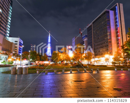 Odori Park at night 114315829