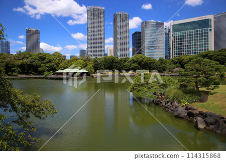 Hamarikyu Garden 114315868